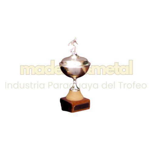 Imagen de Copa de metal con tapa - M5.1810